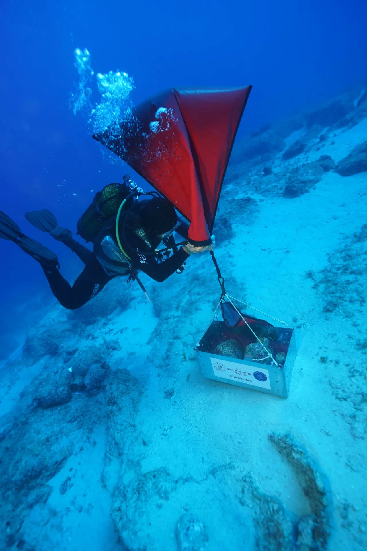 1100-Year-Old Olive Seeds Discovered in Turkey's Mediterranean Waters