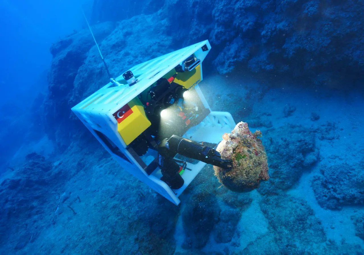 1100-Year-Old Olive Seeds Discovered in Turkey's Mediterranean Waters