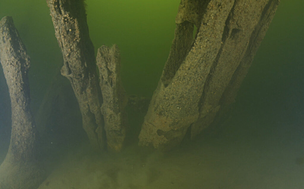 A Voyage Through Time in Baltic Sea: 15th-Century Shipwreck Discovery!