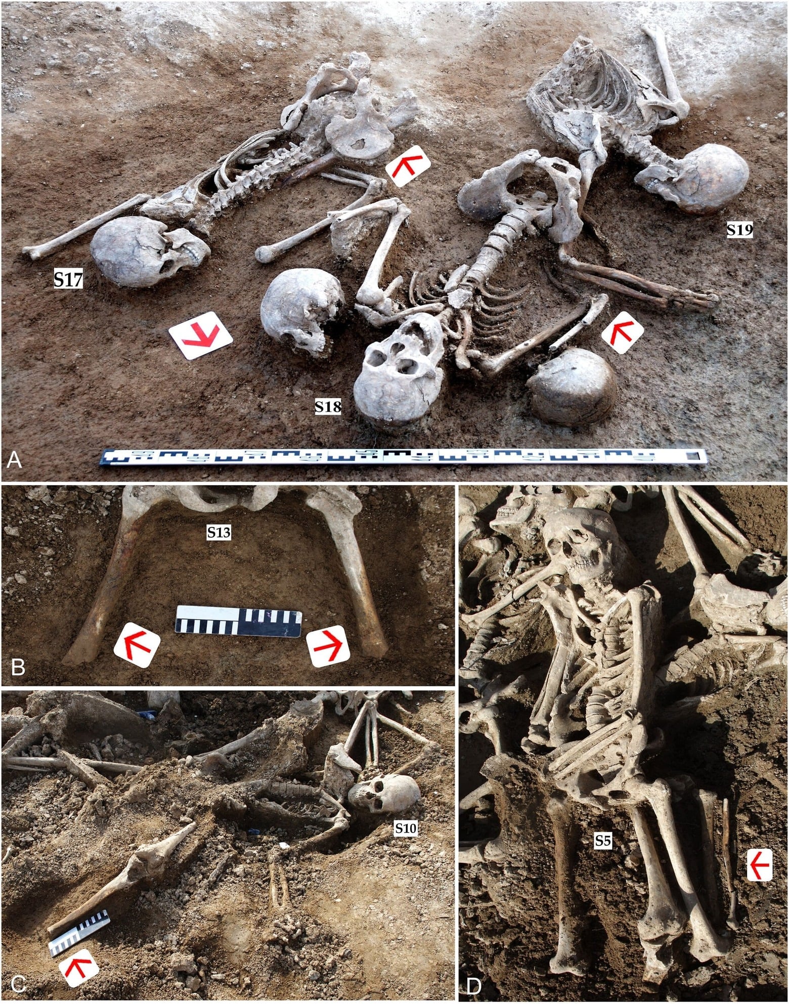 Photographs of dismembered remains and burial postures. Credit: Journal of Archaeological Science