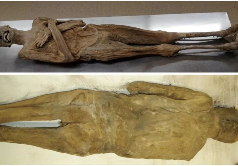 A Unique Mummification Method Discovered in Austria: The Air-Dried Chaplain
