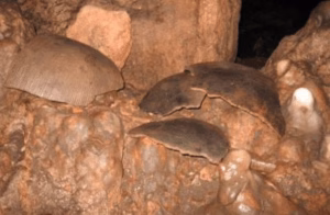 Gruesome Maya Ritual Sacrifices Unearthed in Guatemala’s ‘Cave of Blood’