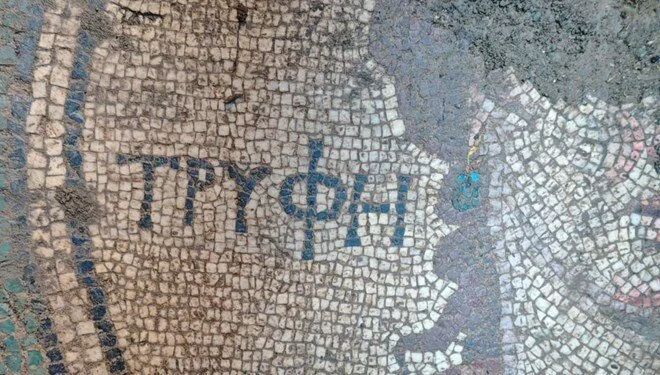 Illegal Digging in Turkey Uncovers Ancient 2,000-Year-Old Roman Mosaic