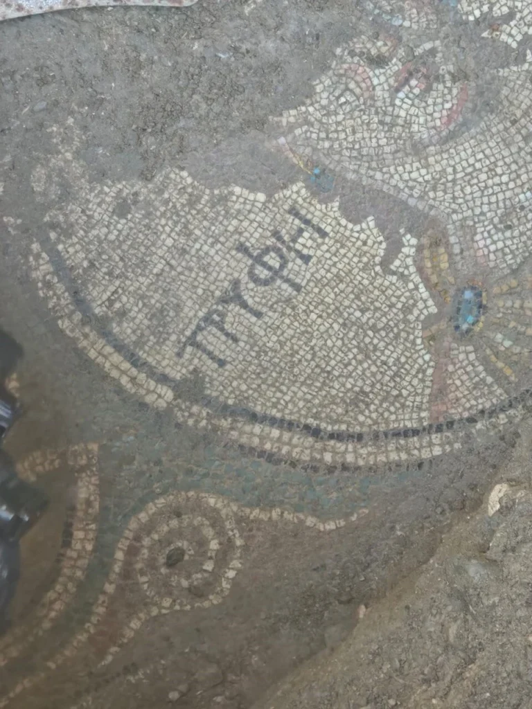 Illegal Digging in Turkey Uncovers Ancient 2,000-Year-Old Roman Mosaic