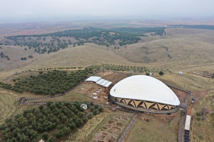 Why Olive Trees at Göbekli Tepe Are Being Relocated?