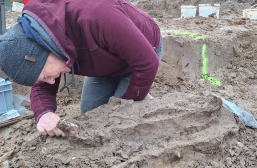 Archaeologists in Belgium Discover a Well-Preserved Roman Dog Skeleton