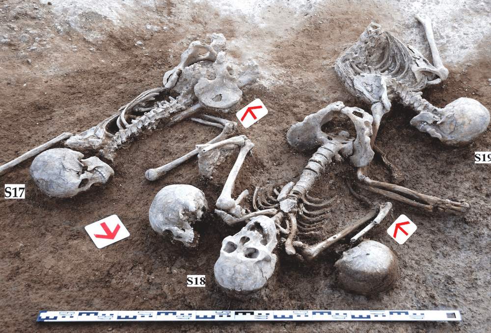 Bioarchaeological Study Reveals Origins of Soldiers in Mongolian Mass Grave from Han-Xiongnu War