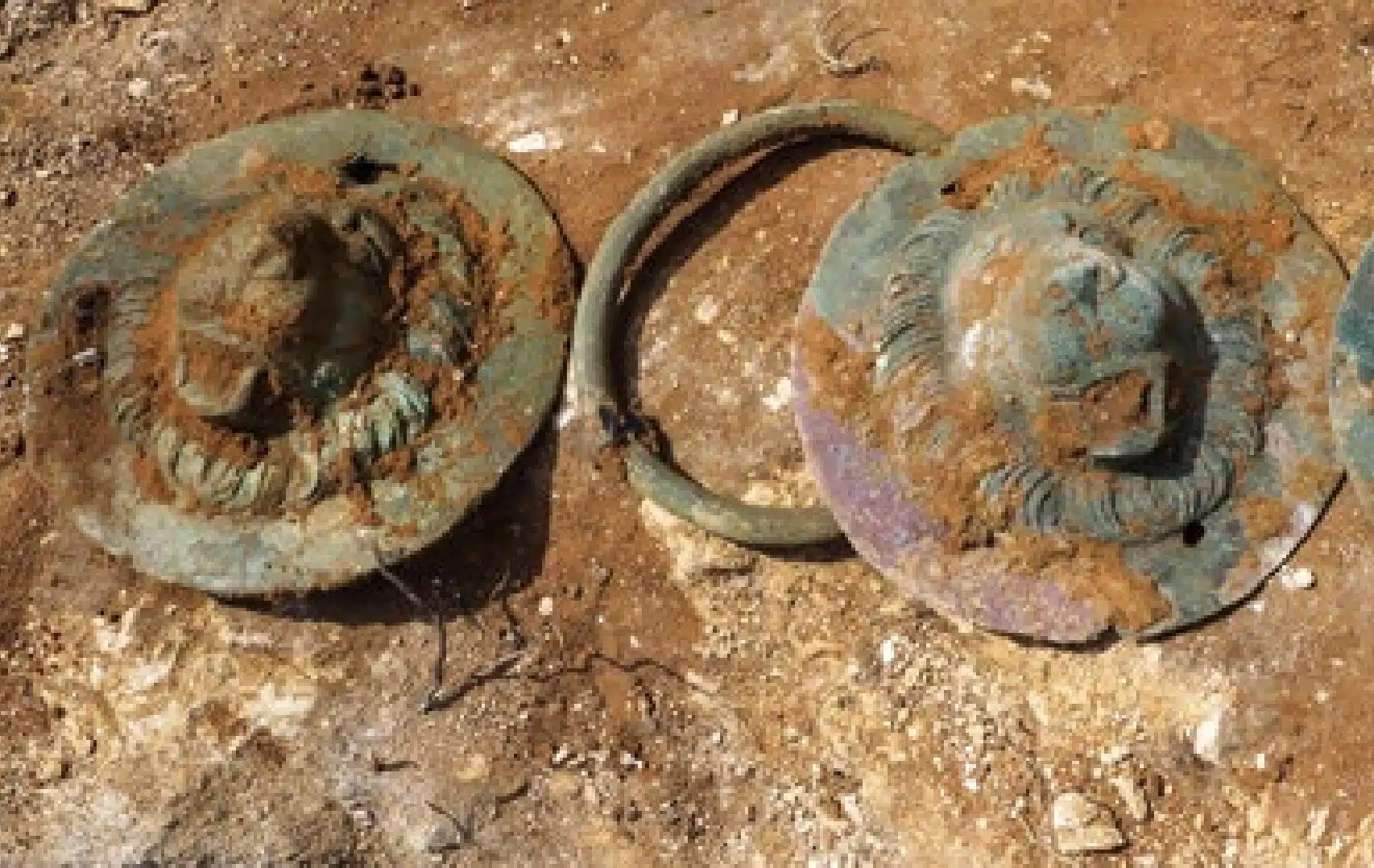 2000-Year-Old Ancient Roman Lion-Head Coffin Handles Found in Southern Israel
