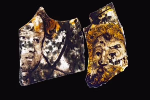 Ancient Human Remains Reveal the Evolution of Fever-Inducing Bacteria