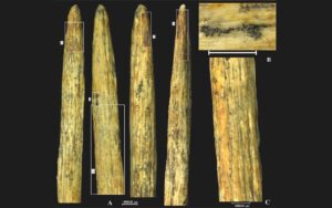 Europe’s Oldest Spearhead Unearthed in Russia: Crafted by Neanderthals 80,000 Years Ago