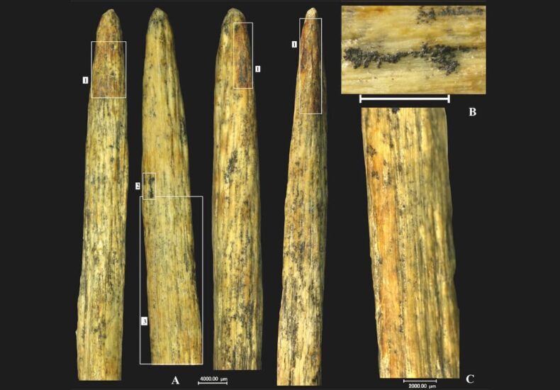 Europe’s Oldest Spearhead Unearthed in Russia: Crafted by Neanderthals 80,000 Years Ago