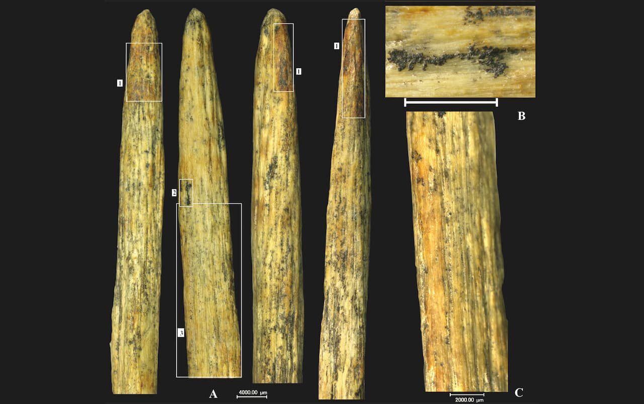 Europe’s Oldest Spearhead Unearthed in Russia: Crafted by Neanderthals 80,000 Years Ago
