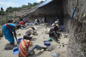 New Study Suggests Existence of Previously Unknown Crocodile Species: "Human-Eating Crocodile"
