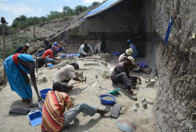 New Study Suggests Existence of Previously Unknown Crocodile Species: "Human-Eating Crocodile"