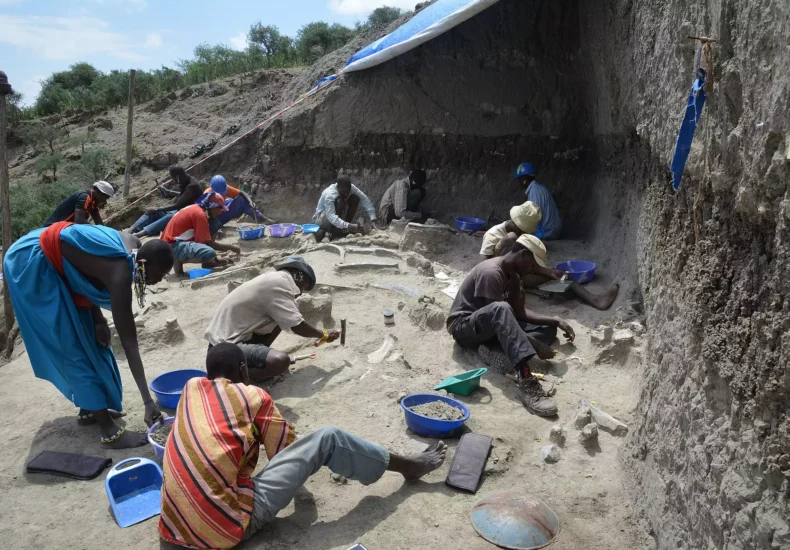 New Study Suggests Existence of Previously Unknown Crocodile Species: "Human-Eating Crocodile"