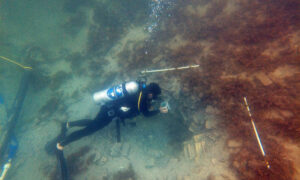 Costa Rica Shipwrecks Identified as Danish Slave Ships