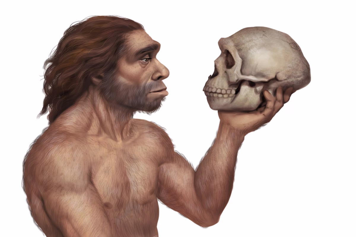 146,000-Year-Old Skull Sheds Light on Mysterious Denisovan Humans