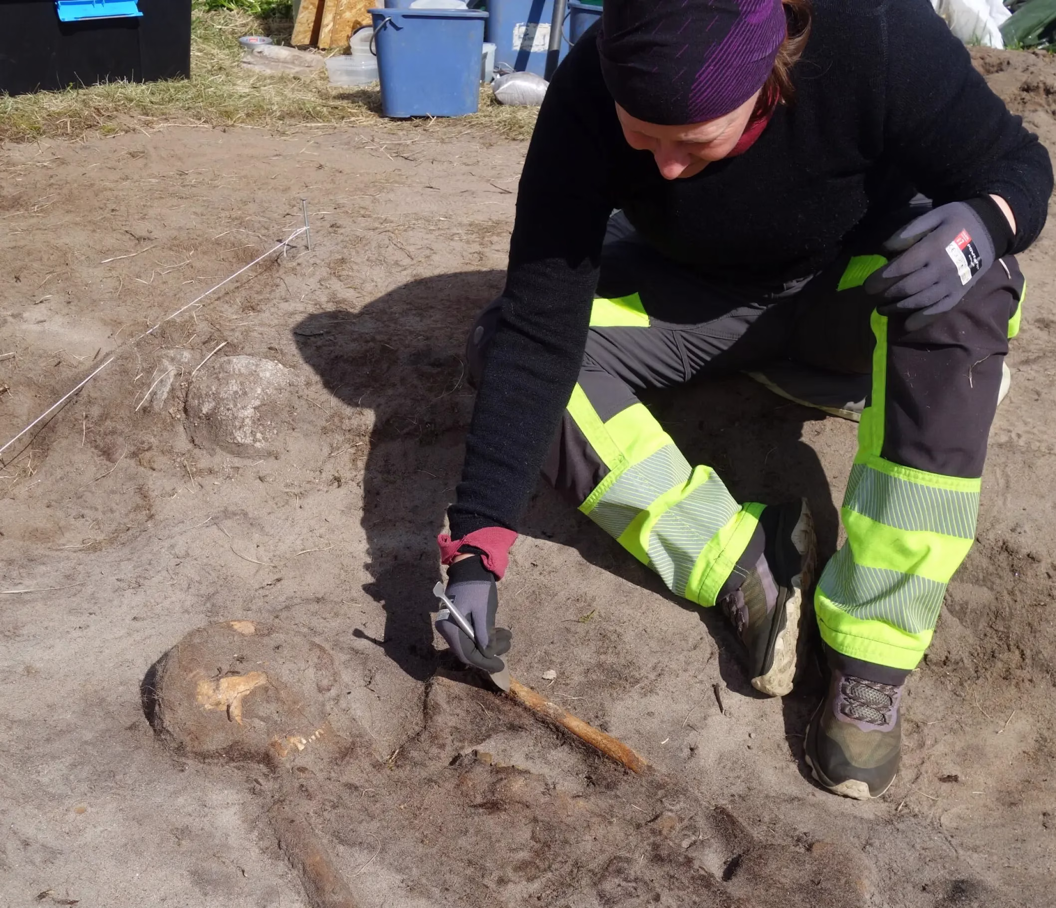 Rare Viking Age Woman’s Burial Discovered in Northern Norway: Laid to Rest with Her Dog