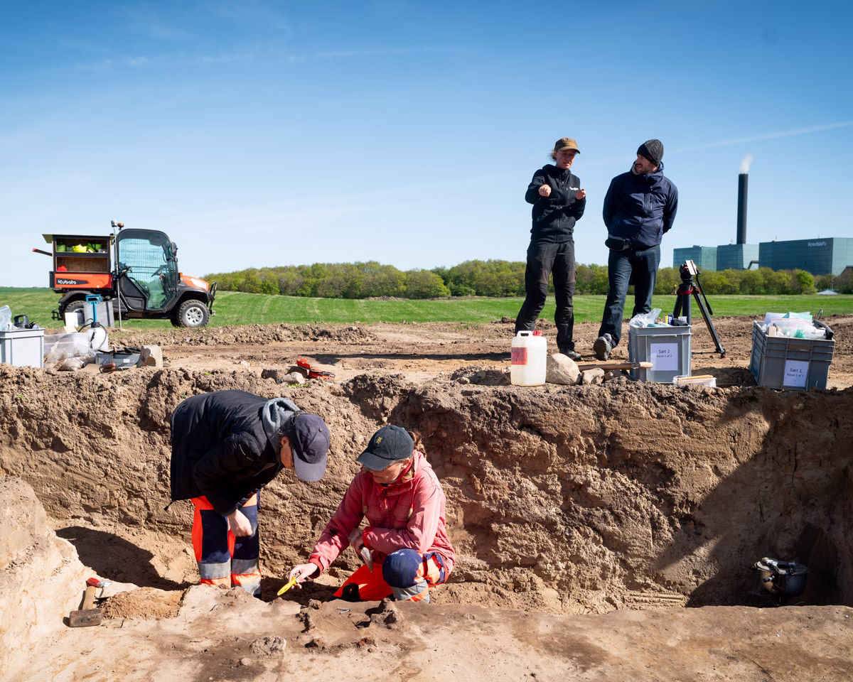 Viking Burial Ground Discovered Near Aarhus Reveals Links to Danish Royalty