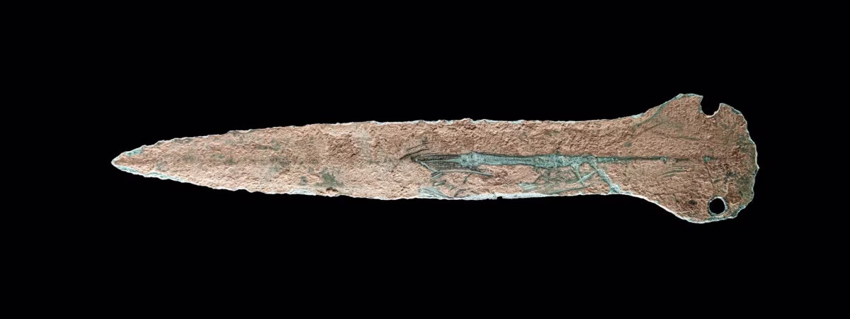 3,500-Year-Old Bronze Age Dagger Discovered During Family Walk in Thuringia