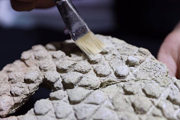 800-Year-Old Bread Mold with Diamond Patterns Unearthed in Ancient Harran, Turkey