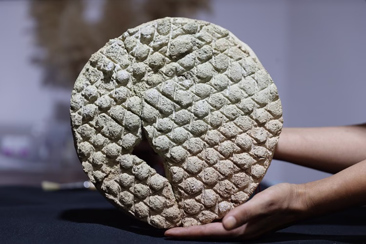 800-Year-Old Bread Mold with Diamond Patterns Unearthed in Ancient Harran, Turkey