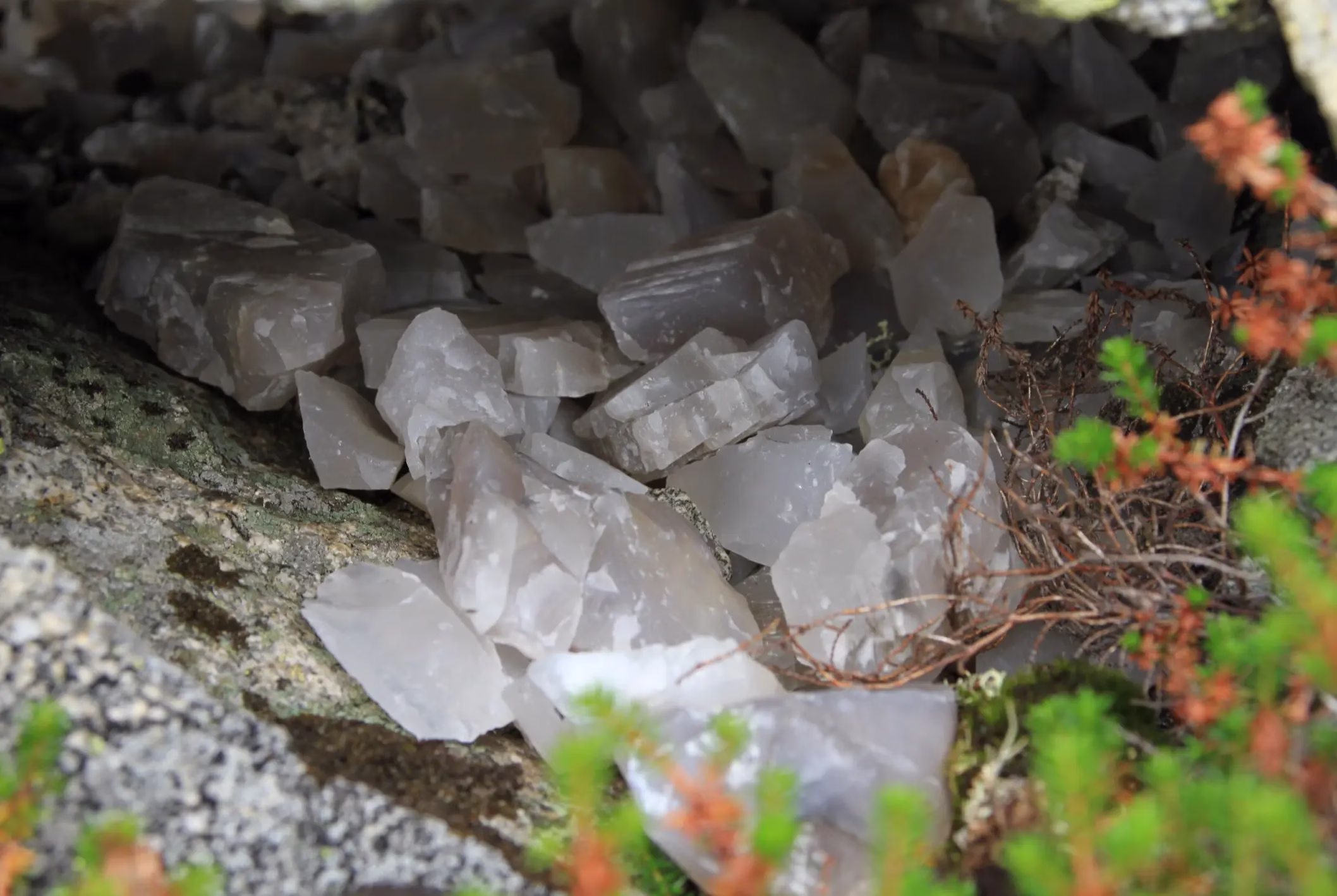 Ancient Quarry in Norway Reveals Thousands of Years of Toolmaking