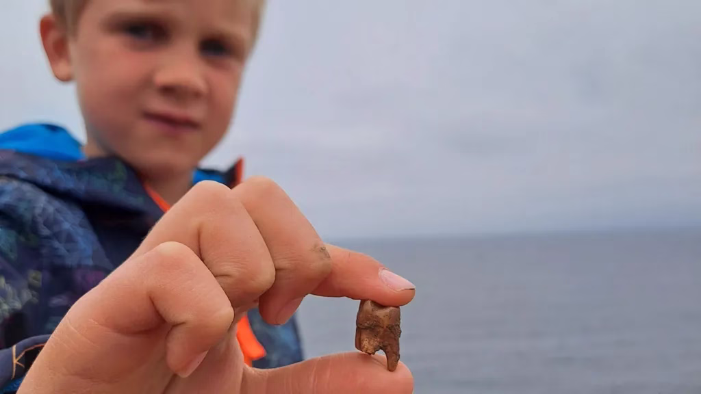 Child’s Curiosity Uncovers Bronze Age Burial at Britain’s Southern Edge