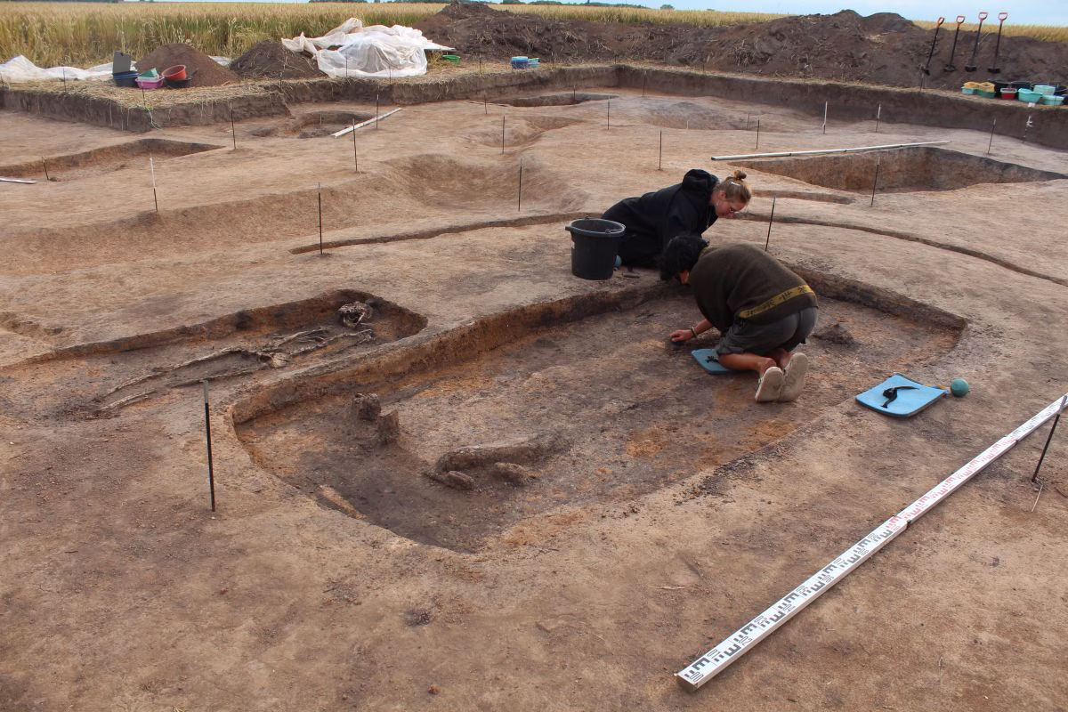 Archaeologists discovered a rare Indian jitali from 10th-11th century elite graves in Suzdal Opolye
