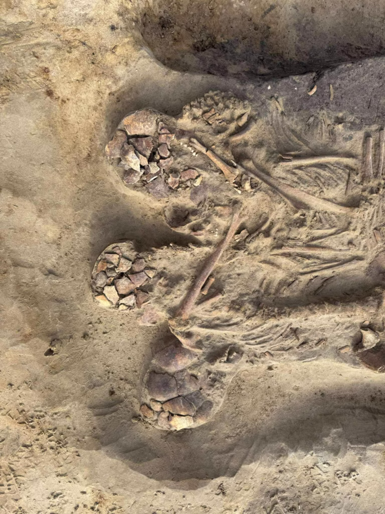 Mesolithic Mass Grave Dating Back to 8000–7000 BCE Discovered in Poland: Family Buried Embracing One Another