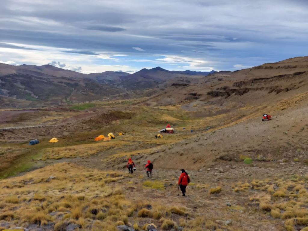 The fossil was discovered in the Rio de Las Chinas Valley in the Magallanes region of Chile.