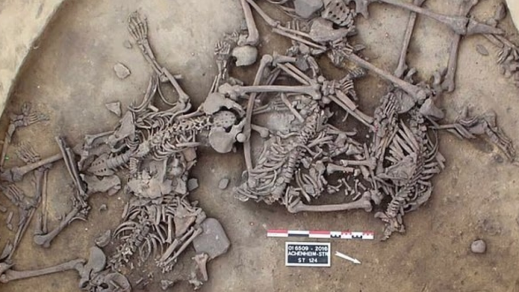 Traces of War in Neolithic Europe: 82 Skeletons Found in France
