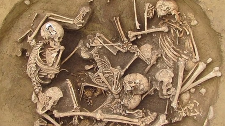 Traces of War in Neolithic Europe: 82 Skeletons Found in France