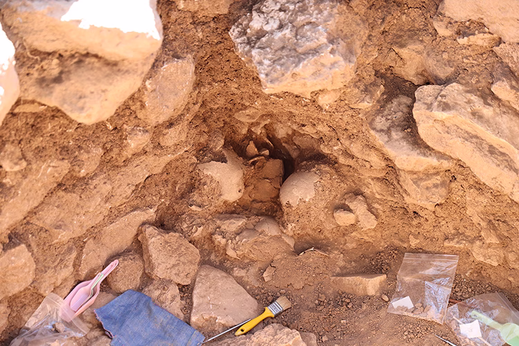 Sefertepe Excavation Reveals 12 New Human Skulls From the 10th Millennium BCE