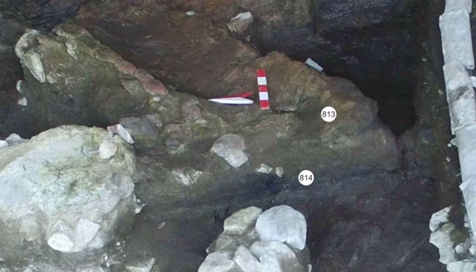 Ancient DNA and Soil Analysis Reveal 5,000-Year-Old Charcoal Remedies and Early Antibiotic Resistance in Turkey