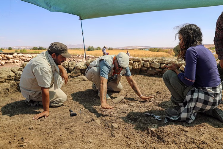 9,500-Year-Old “Red-Floored Public Building” Unearthed at Çayönü Tepesi in Turkey