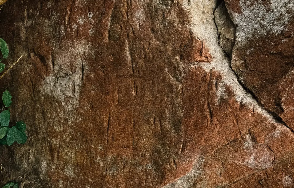 Ancient Petroglyph Sites Discovered on Thailand’s Phu Khat Mountain