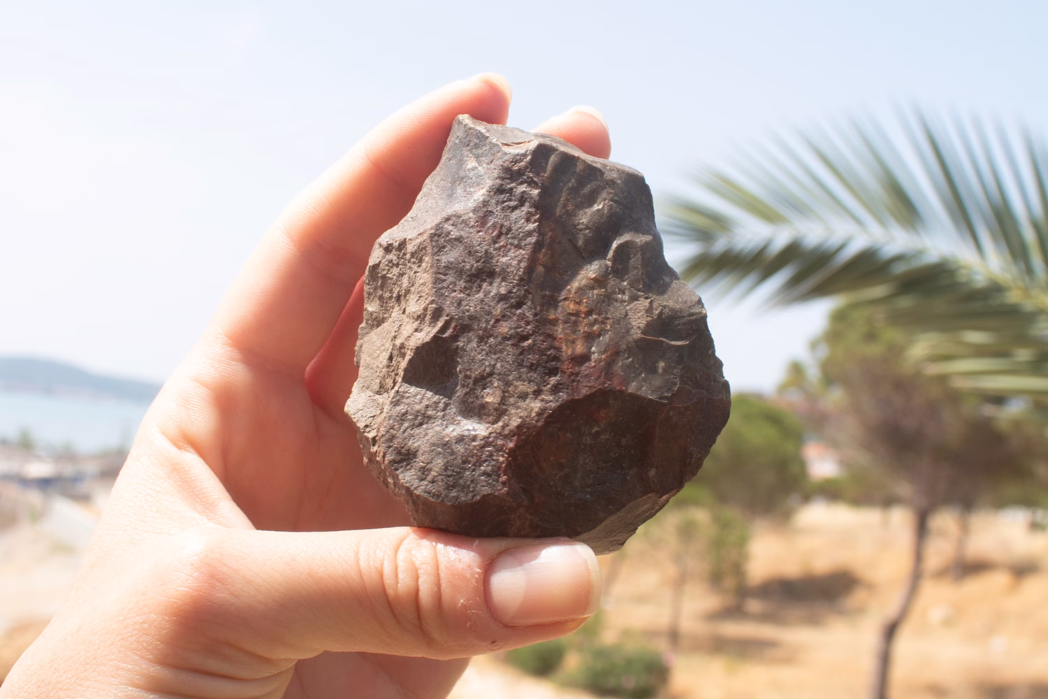 First Traces from Anatolia to Europe: Stone Tools in Ayvalık Rewrite Human History