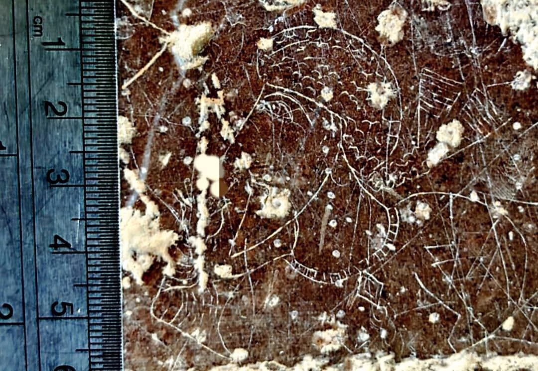 The World's Smallest 1,500-Year-Old Sasanian Rock Carving Discovered in Southern Iran