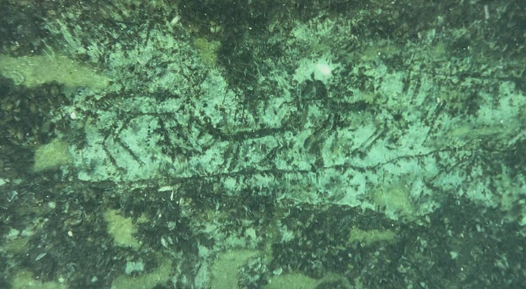 12,000-Year-Old Rock Engravings Discovered Beneath Türkiye’s Atatürk Dam Reveal One of the Oldest Hunting Scenes in the Euphrates Basin