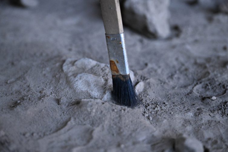 Archaeologists Unearth 13,000-Year-Old Bone Tools and Beads in Direkli Cave, Turkey