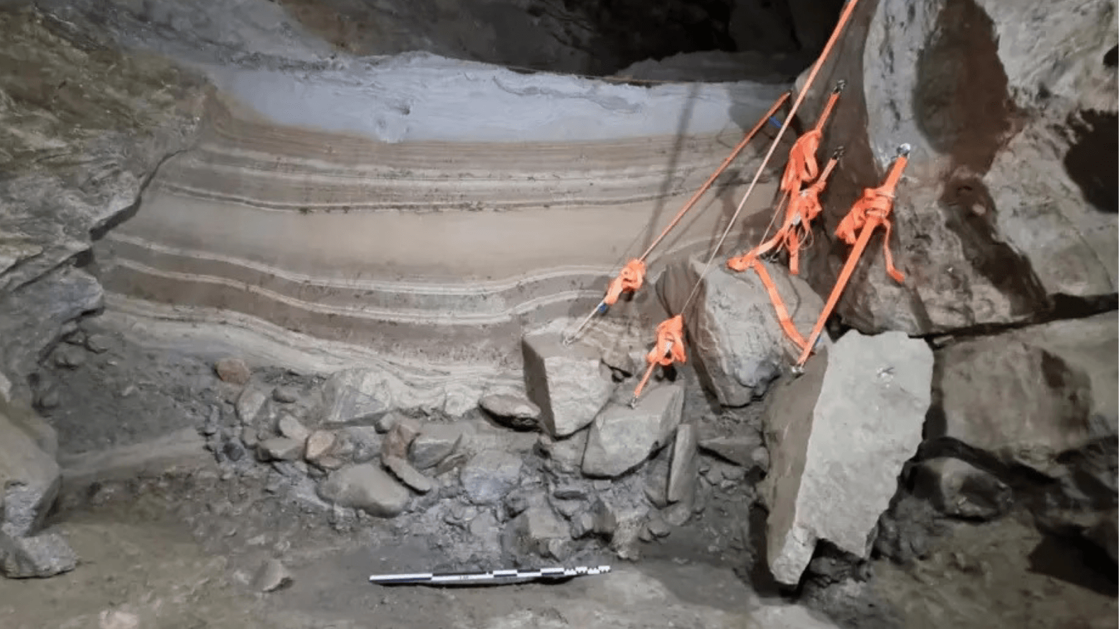 75,000-Year-Old Norwegian Cave Reveals 46 Types of Ice Age Animals and Lost Genetic Lineages