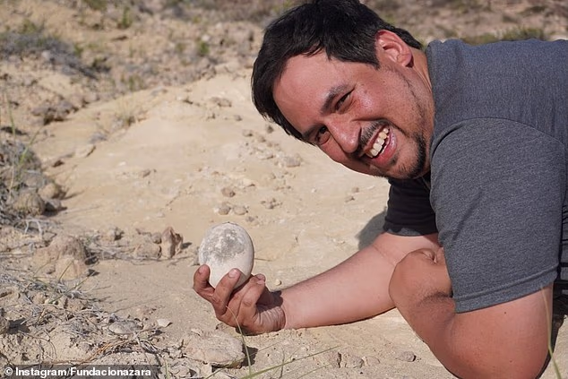 70-Million-Year-Old Dinosaur Egg