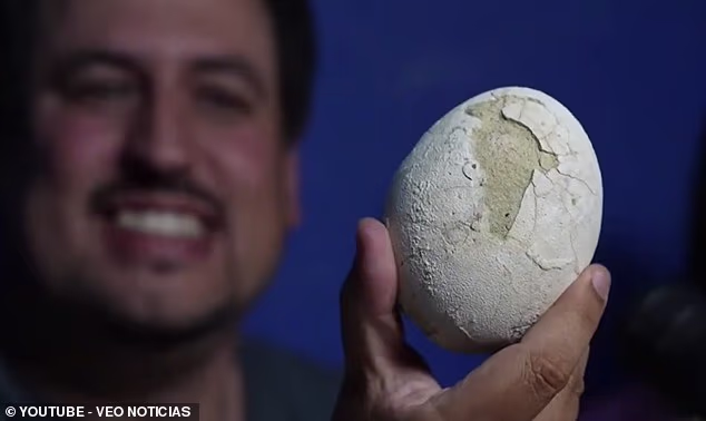 Exceptionally Preserved 70-Million-Year-Old Dinosaur Egg Unearthed in Patagonia Could Contain Embryo