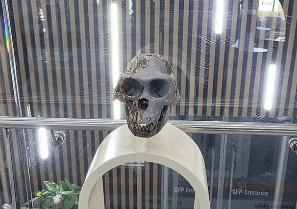 Ardipithecus ramidus: The Early Ancestor That Redefines the Origins of Human Bipedalism