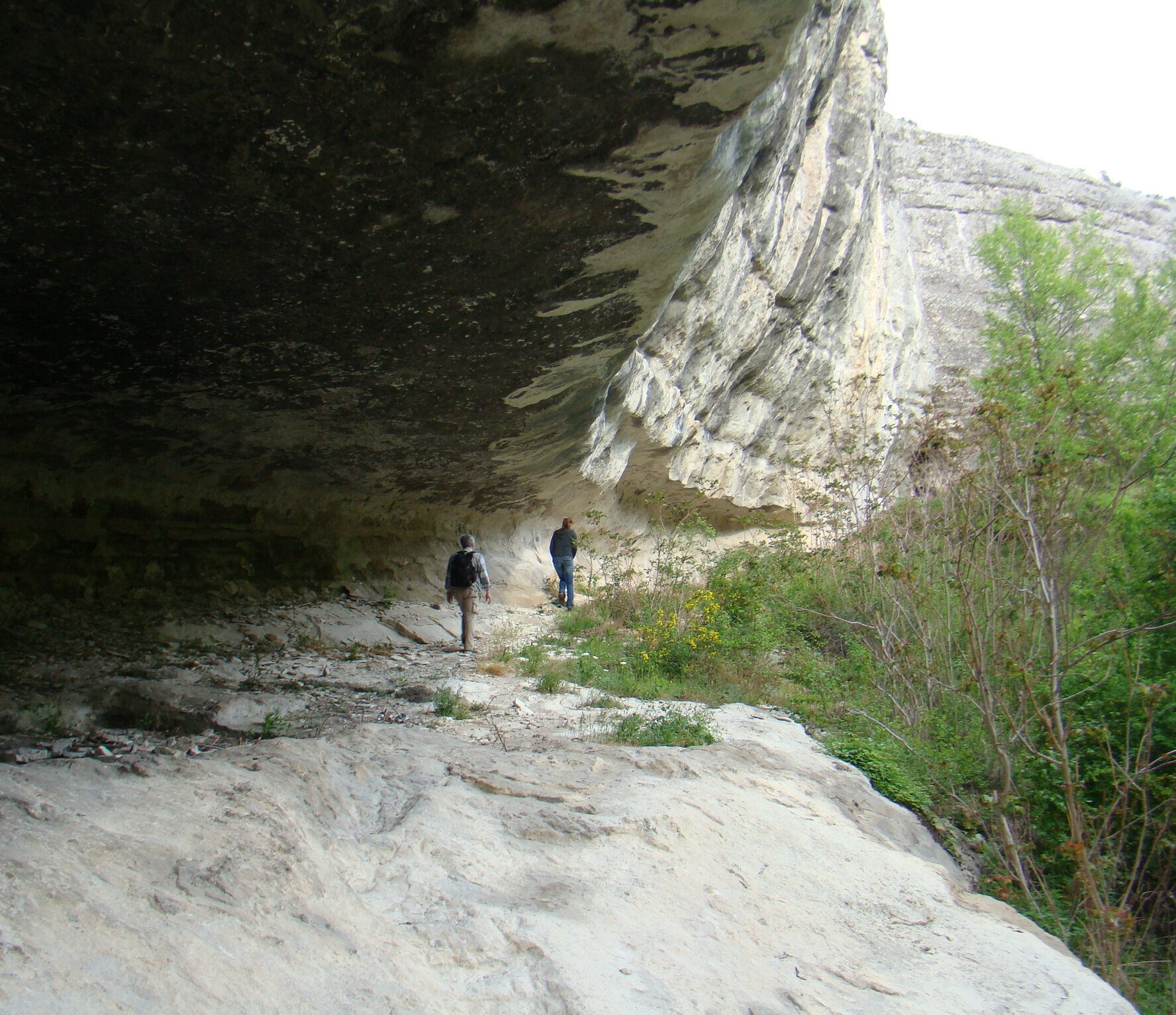 DNA From a 46,000-Year-Old Bone in Crimea Reveals Neanderthal Link Between Europe and Siberia