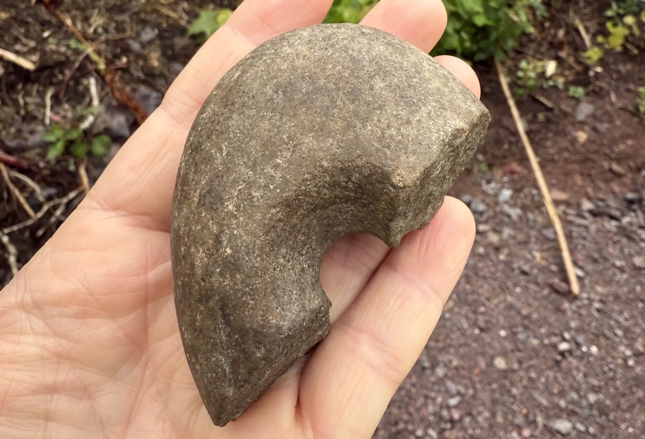 Rare 9,000-Year-Old Stone Age Hammer Unearthed in Norway Reveals Ancient Settlement