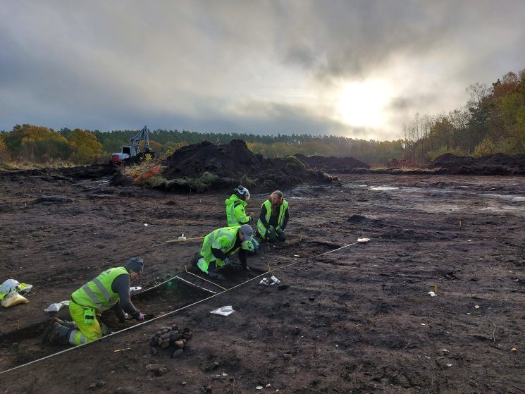 Two Prehistoric Settlements Unearthed in Sweden Reveal 5,000 Years of Human Life