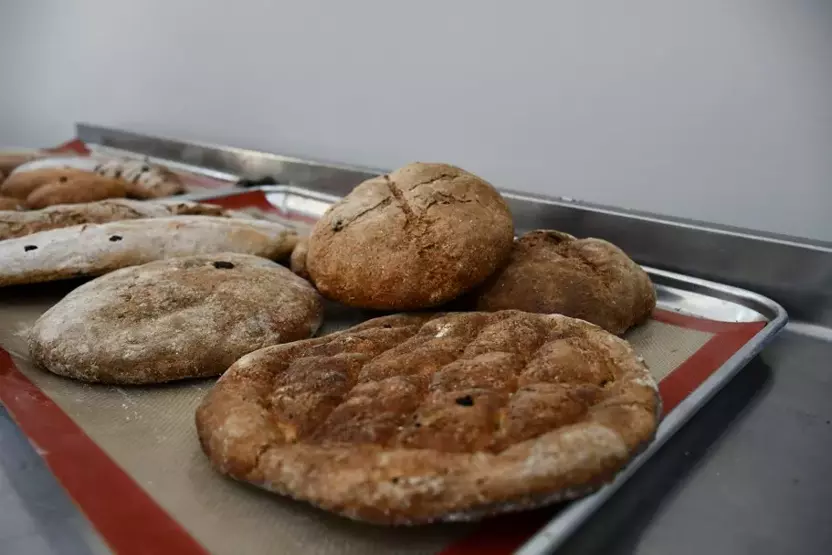 Turkish Researchers Bake 3,000-Year-Old Mesopotamian Bread Again