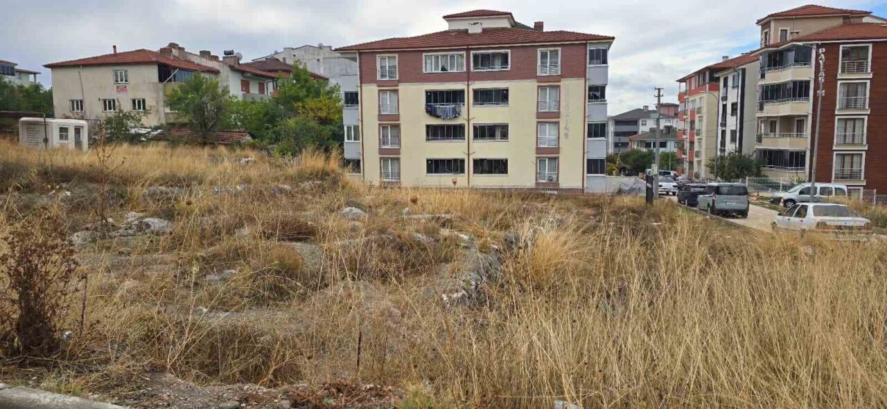9,000-Year-Old Settlement in Bilecik Lies Forgotten Beneath Weeds — Archaeologists Call for an Open-Air Museum
